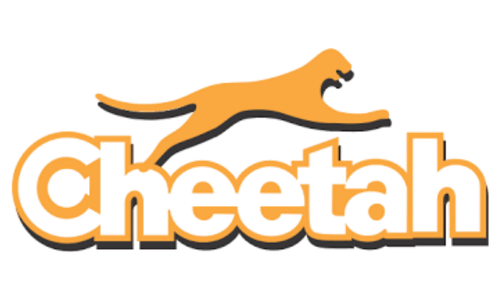 چیتا